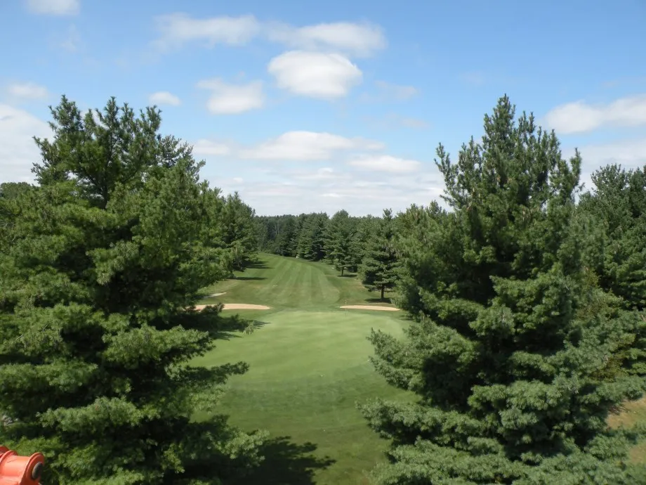 Trees on course