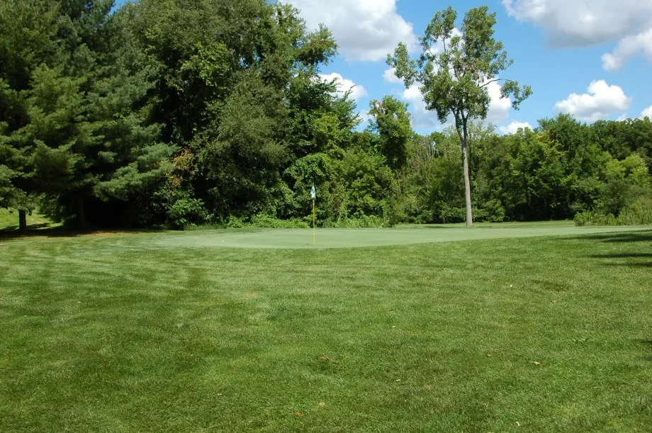 flag on golf course hole