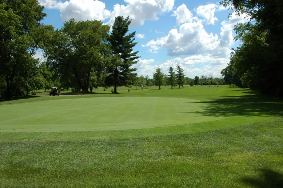 Golf course green with trees