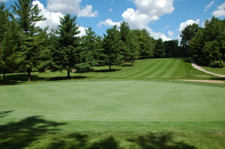 View of manicured green and golf course hole 