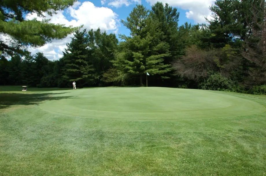 View of golf course hole with trees